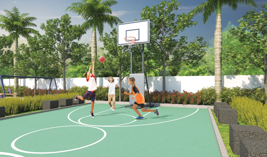 13_Basket_Ball_Court